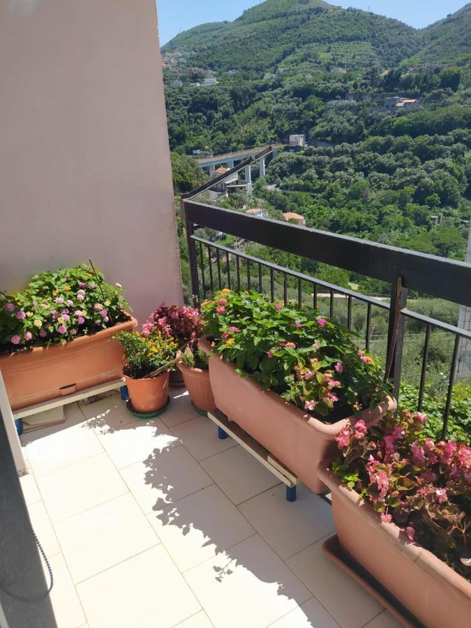 B&B Antonietta วีโกเอเกวนเซ ภายนอก รูปภาพ